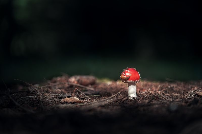 За обедом фото превью