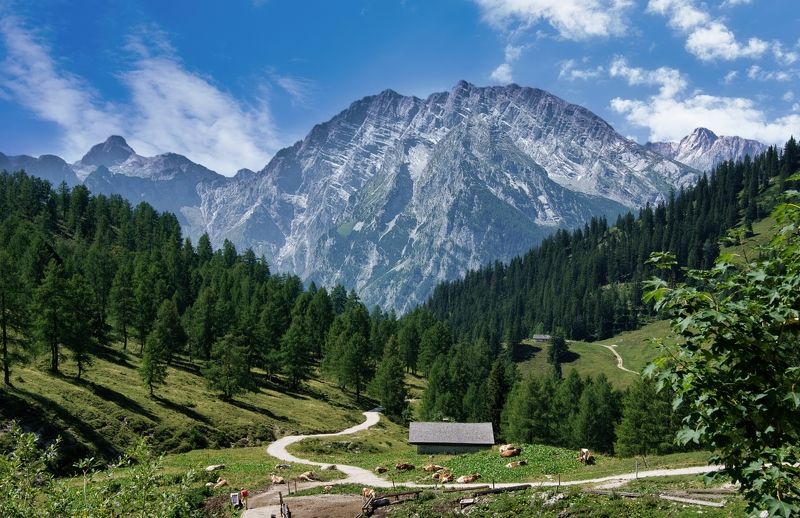 Bavarian Alps фото превью