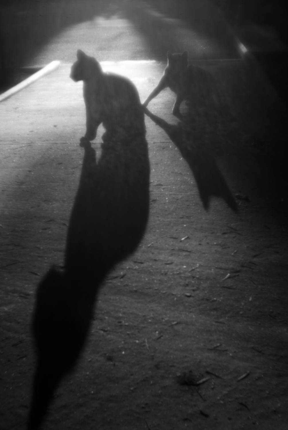 , Виктор Черкасов