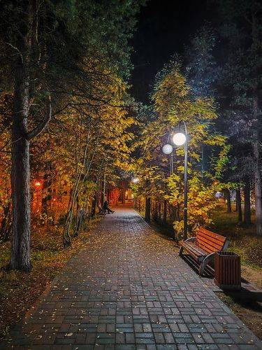 В вечернем парке