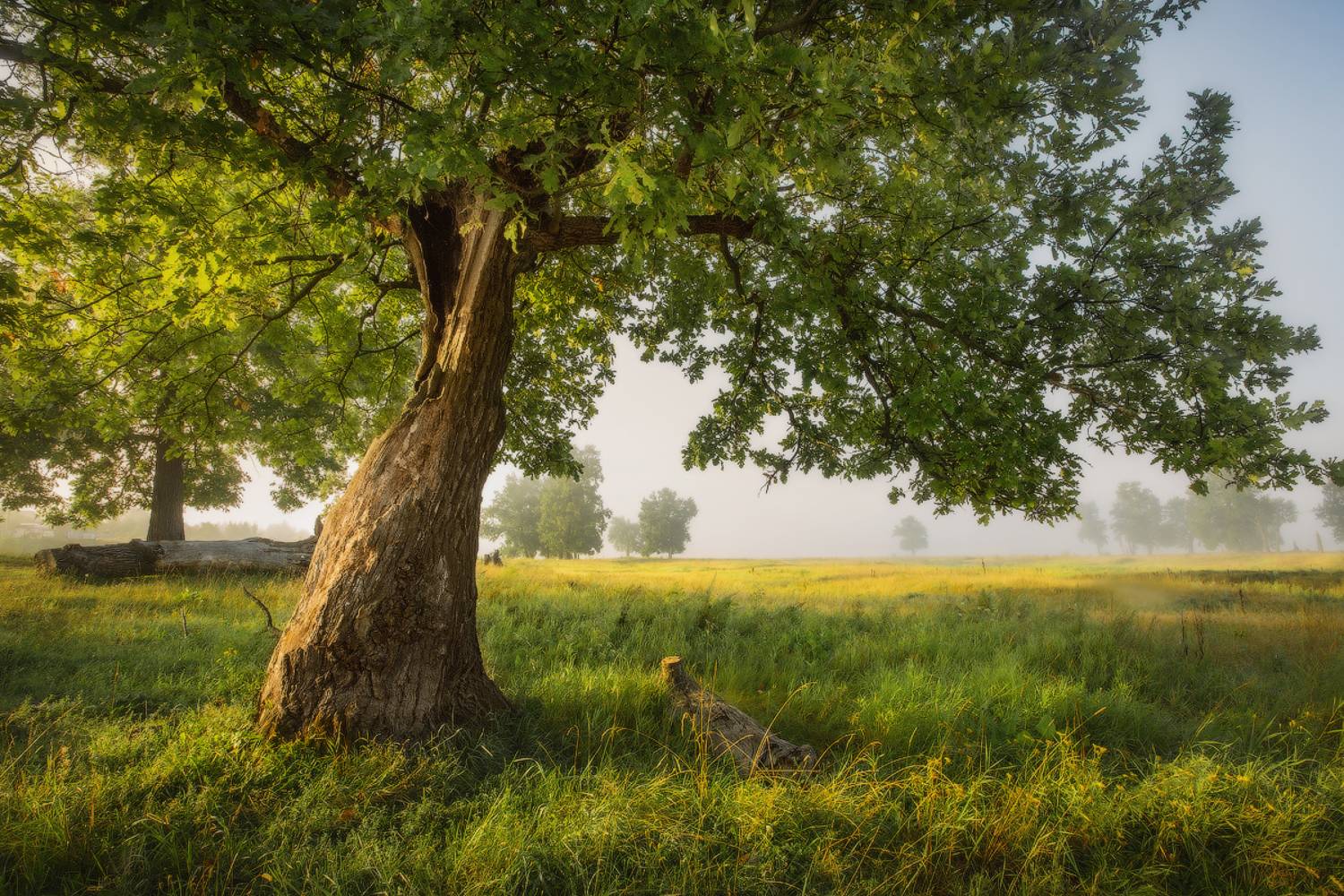 , Михаил Корнилов