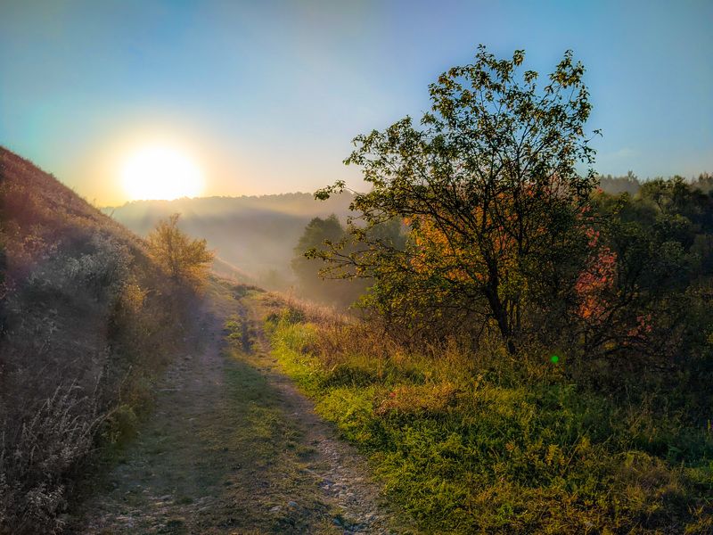 фото превью