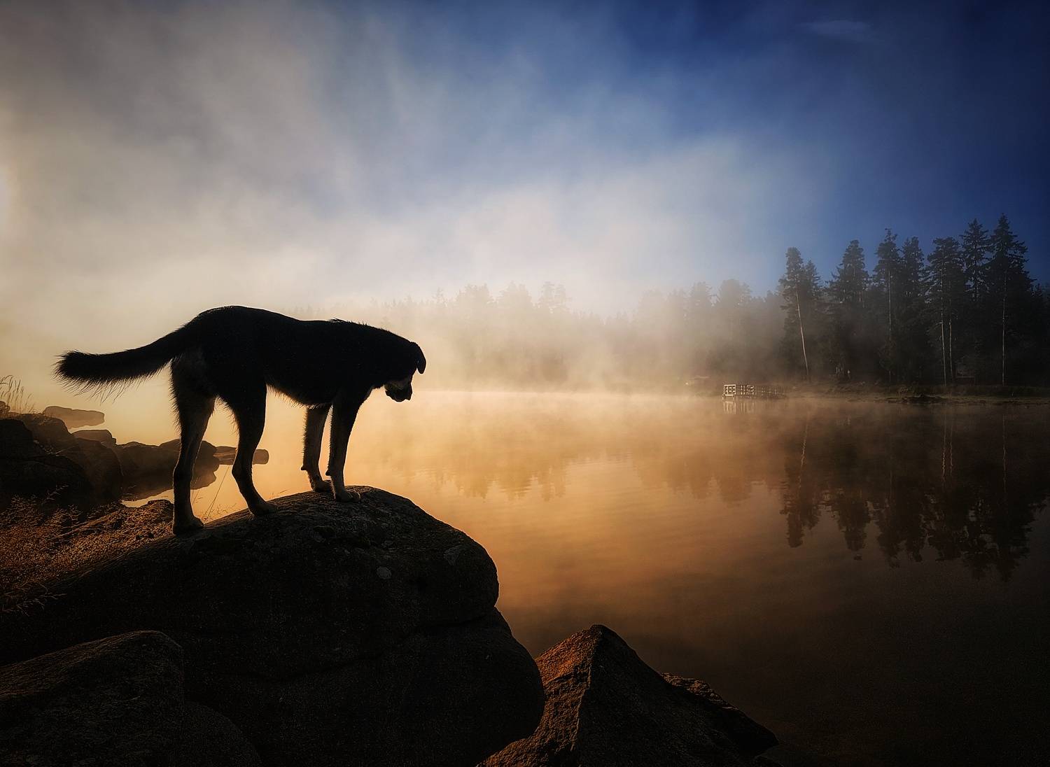 , Герчев Николай