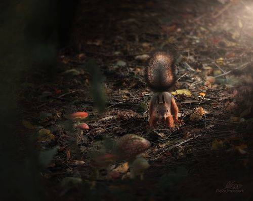 Заготовки на зиму