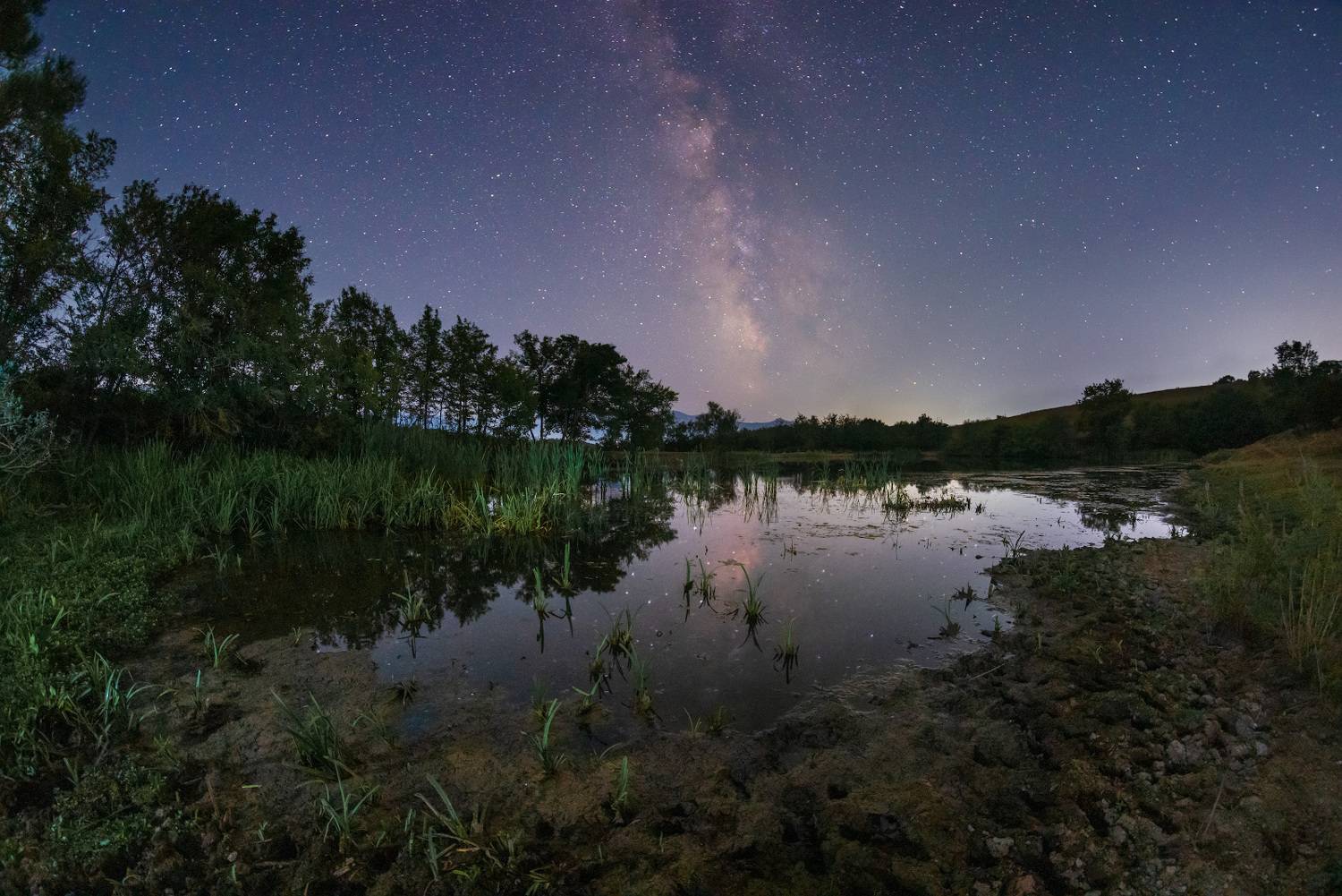 , Котенко Вадим