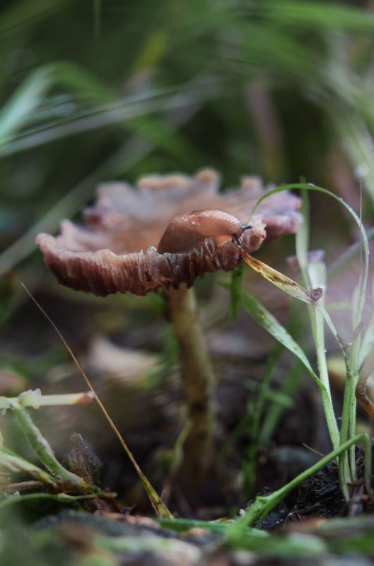 Высоко сижу, далеко гляжу фото превью
