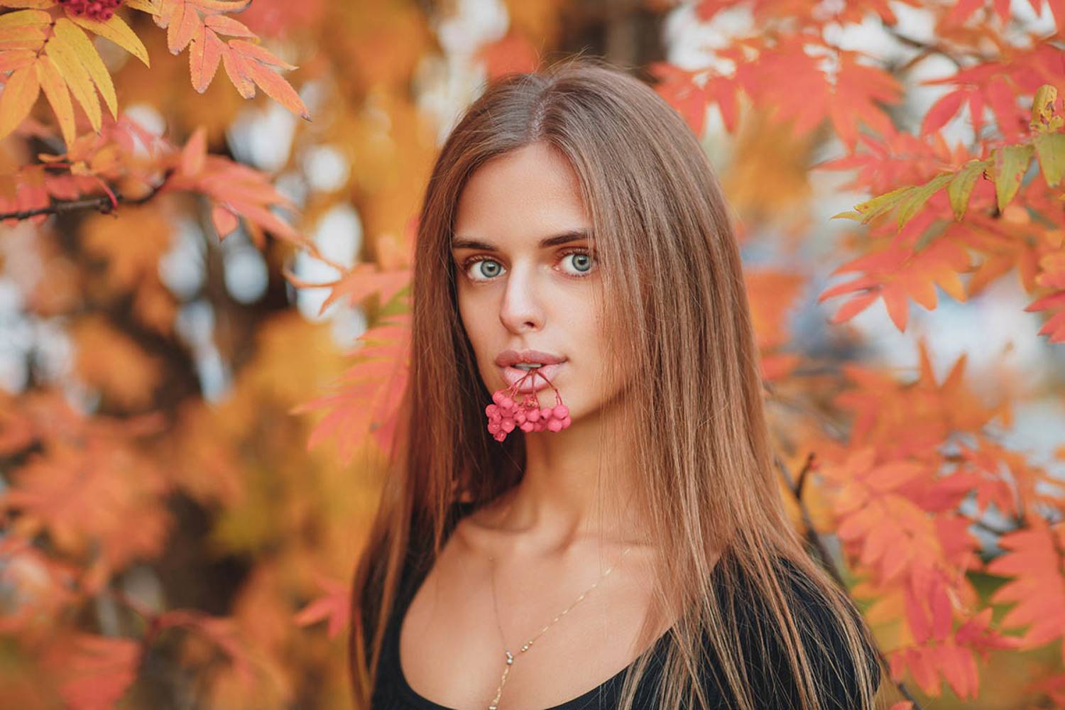 , Алексей Гилёв