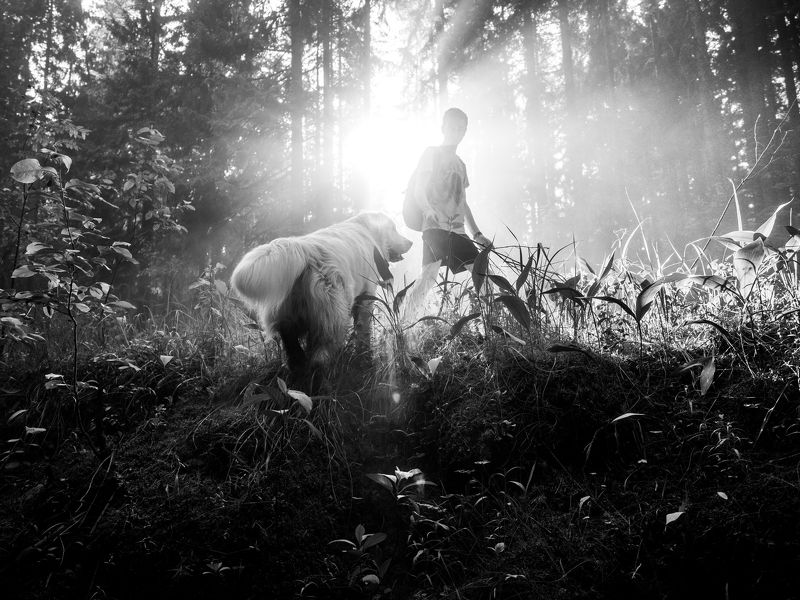 Дорога к озеру фото превью