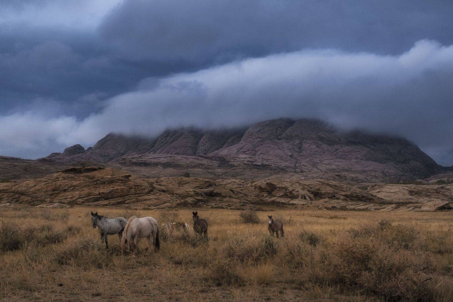 , Светлана Краюшкина