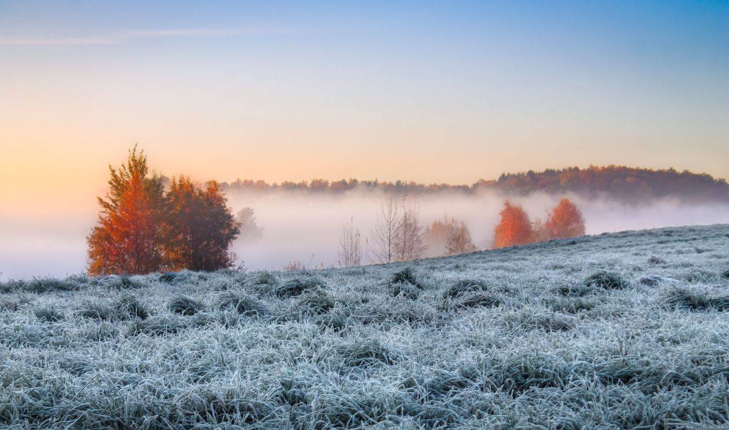 рассвет, туман, поле, иней,, Сергей Шабуневич