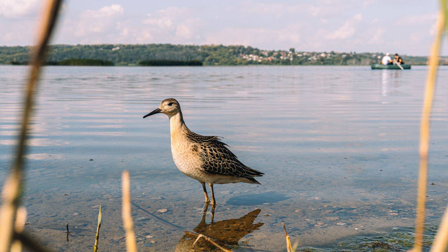, Вертиков Юрий