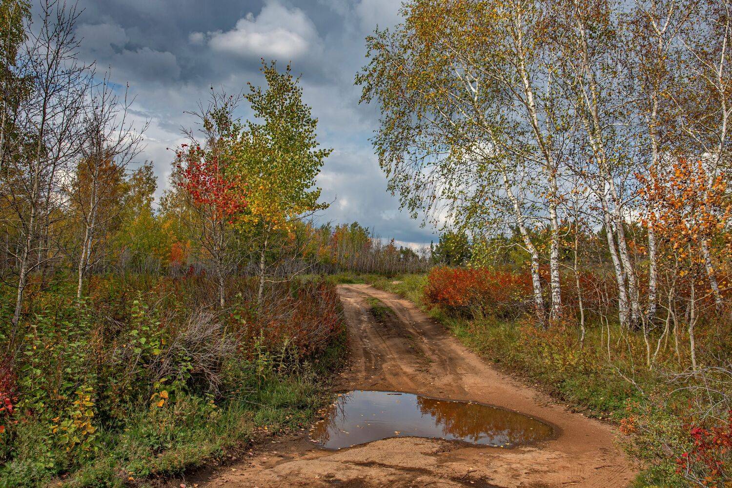 осень, Евгений Дроботенко