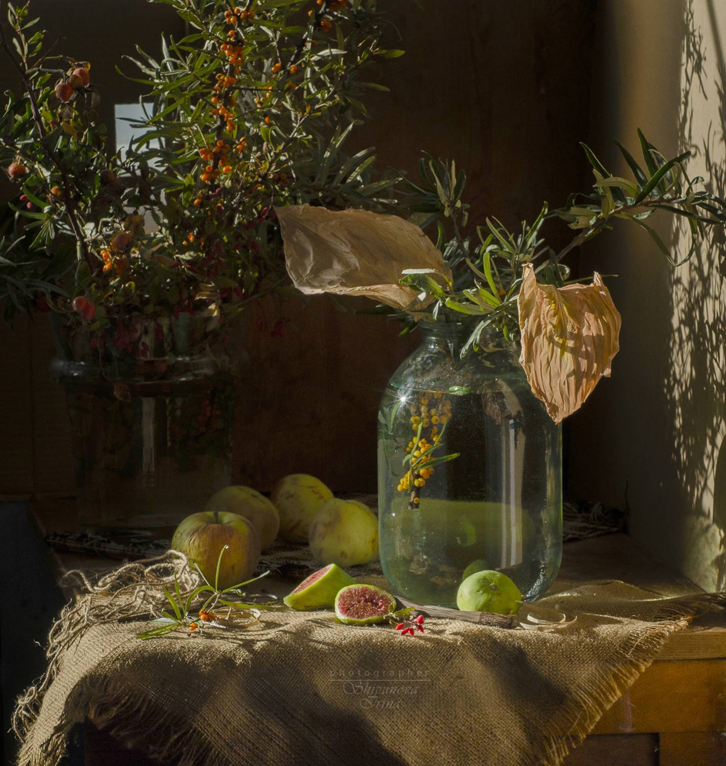 , Ирина Шипунова