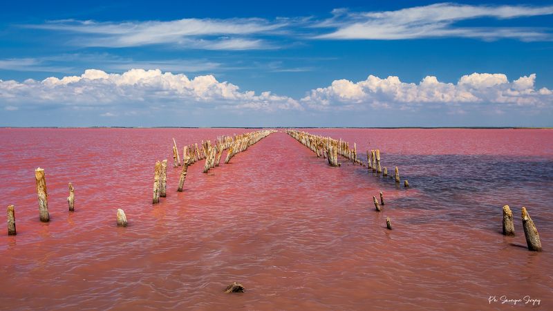 //\\\\ фото превью