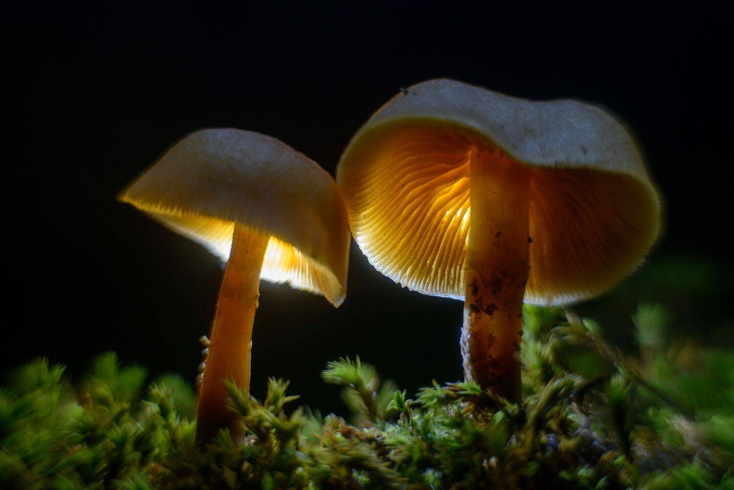 , Сизов Кирилл