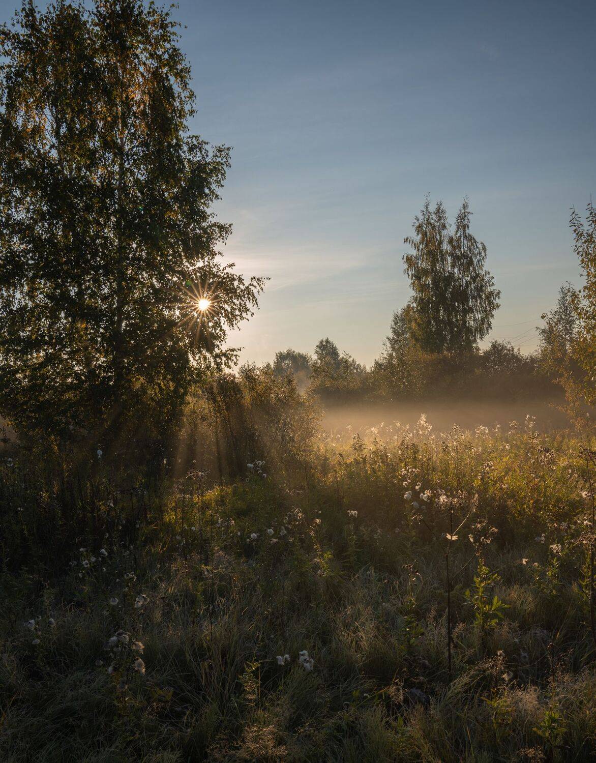 , Дэм Константин