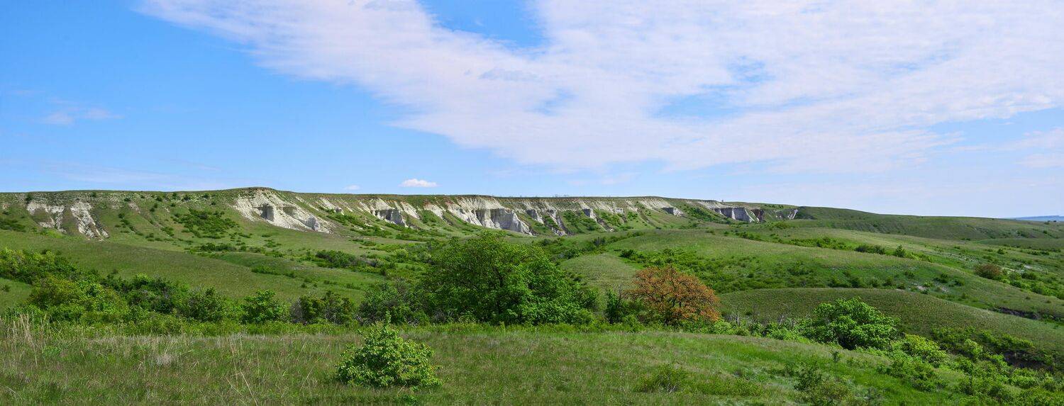 chalk, mountain, volgograd, russia, wildlife, , Сторчилов Павел