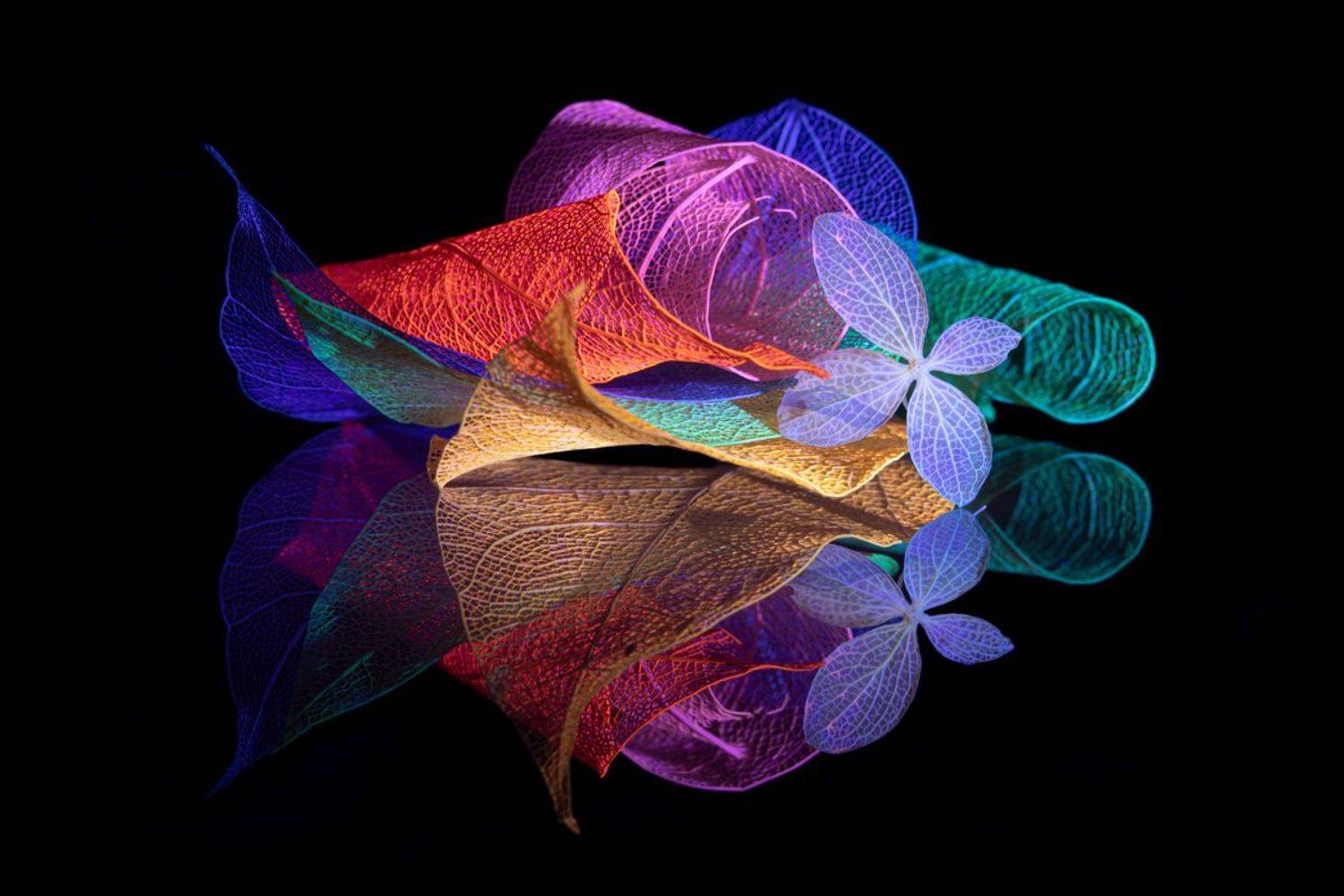 close-up, Игорь Копцев