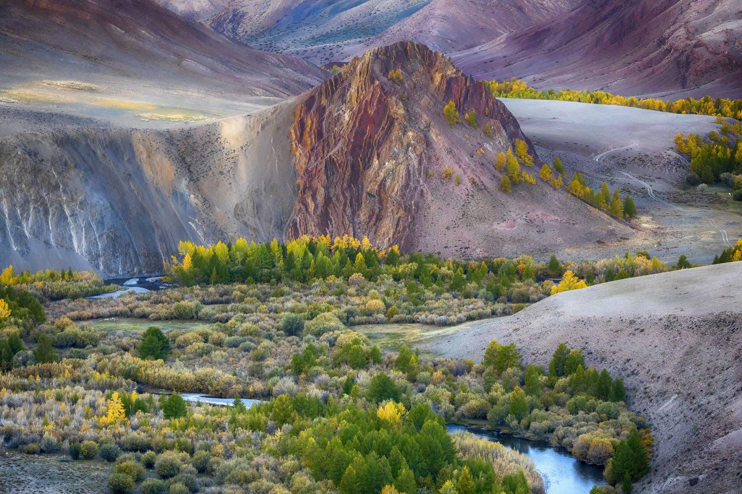 , Андрей Ершов