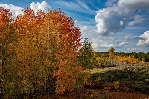 Золотая осень