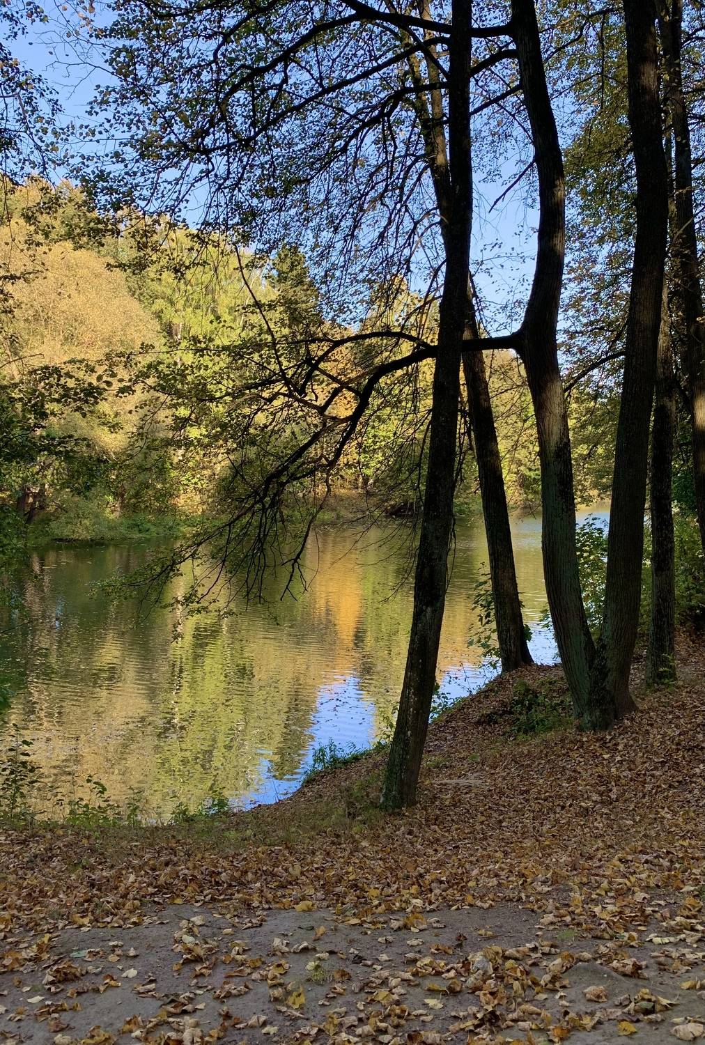 , Аседач Александр