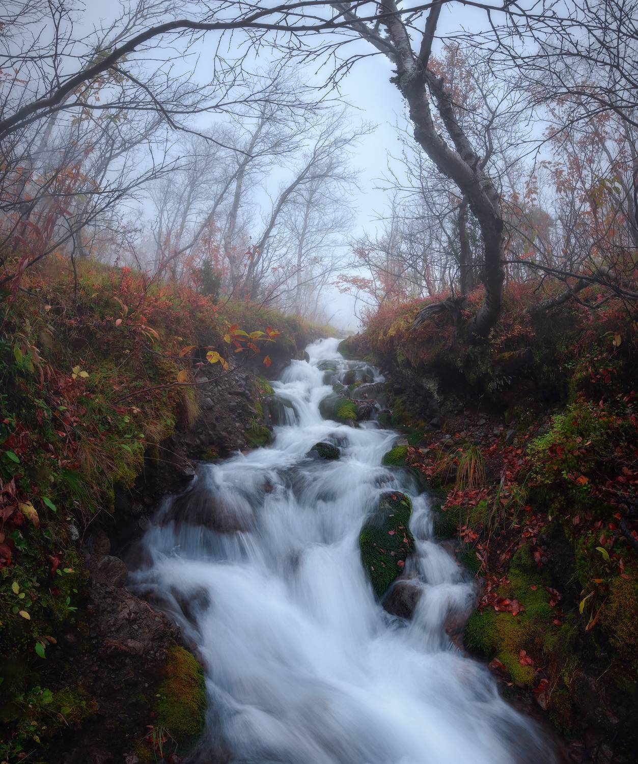 , Истомин Виталий