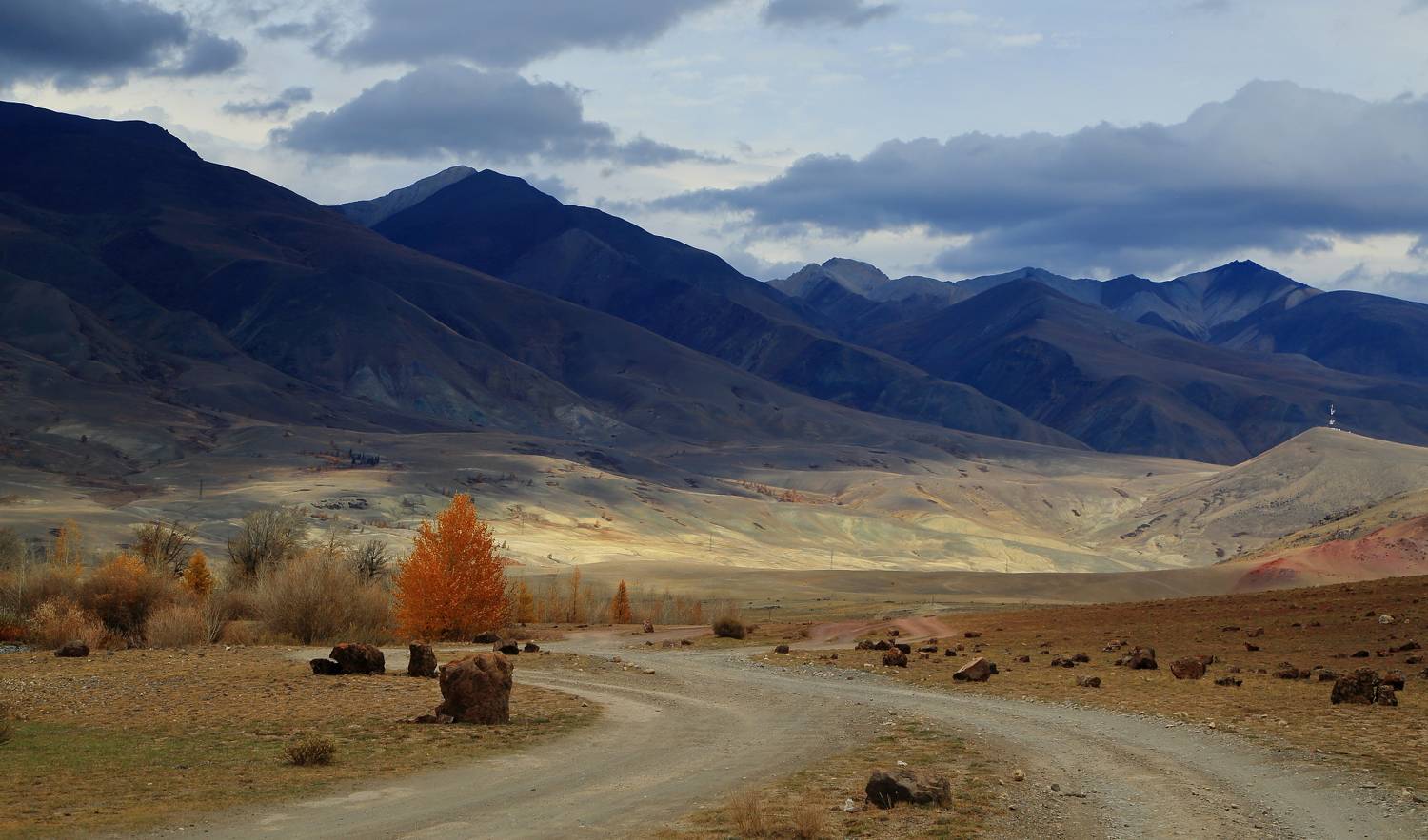 , Евгений Зинов