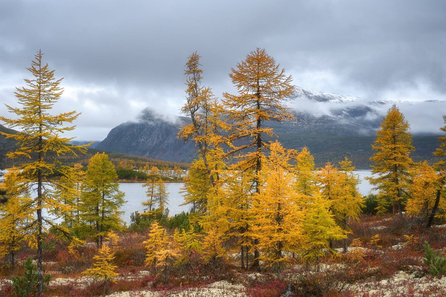 колыма, озеро джека лондона, золотая осень, магаданская область, коса биологов, Юлия Лаптева