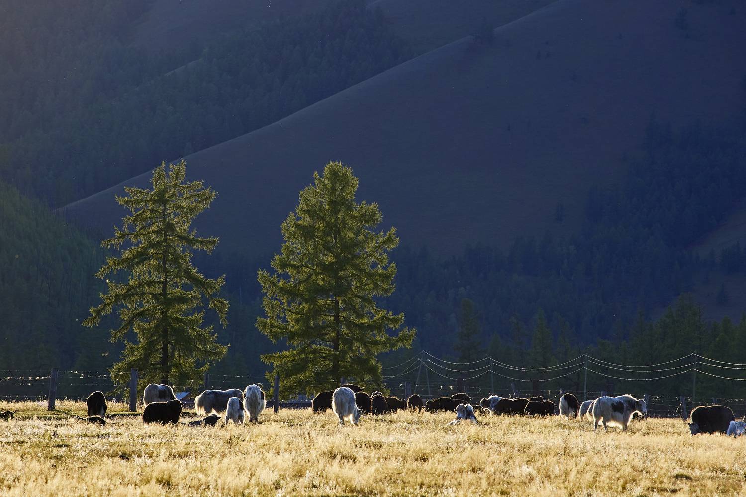 , Байбородин Михаил