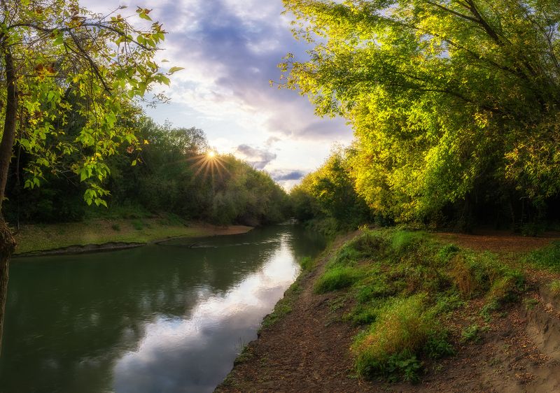 Добрый вечер! фото превью