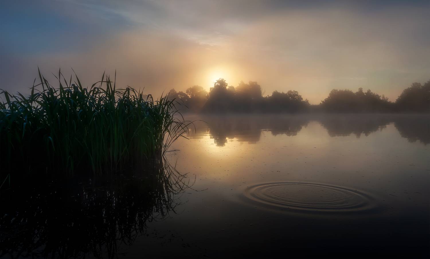 , Еремеев М.