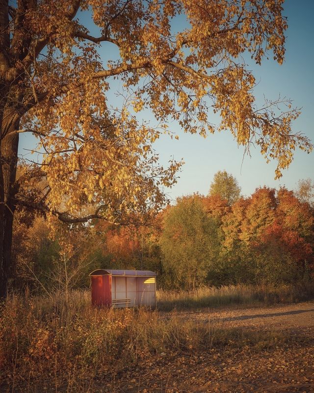 Остановка Осень фото превью