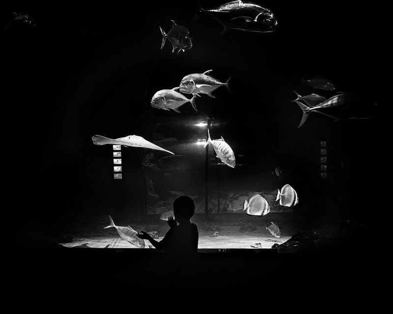 Мечтами о море... фото превью