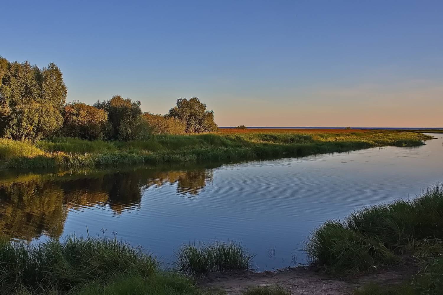 , Николаев Владимир