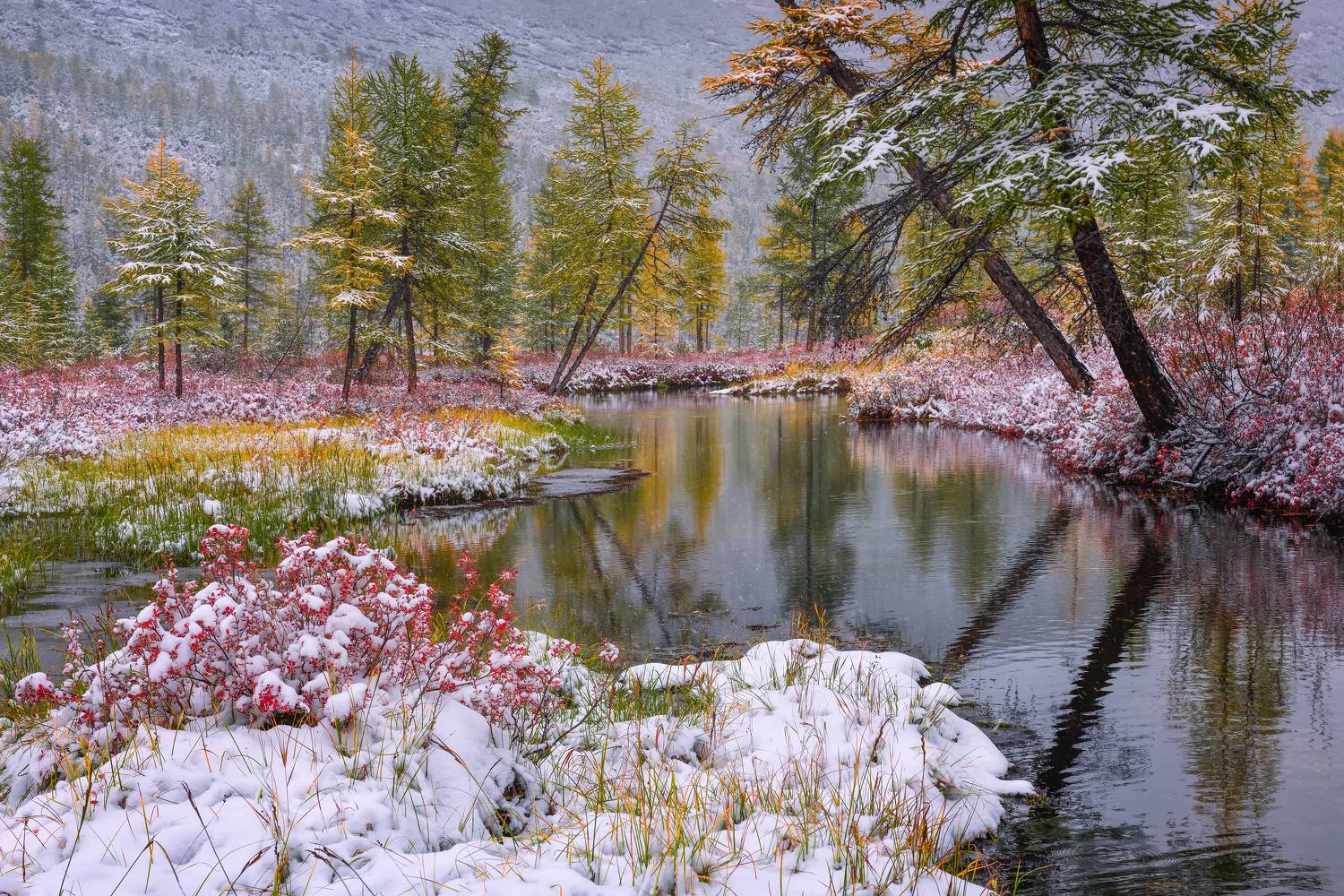 , Максим Евдокимов