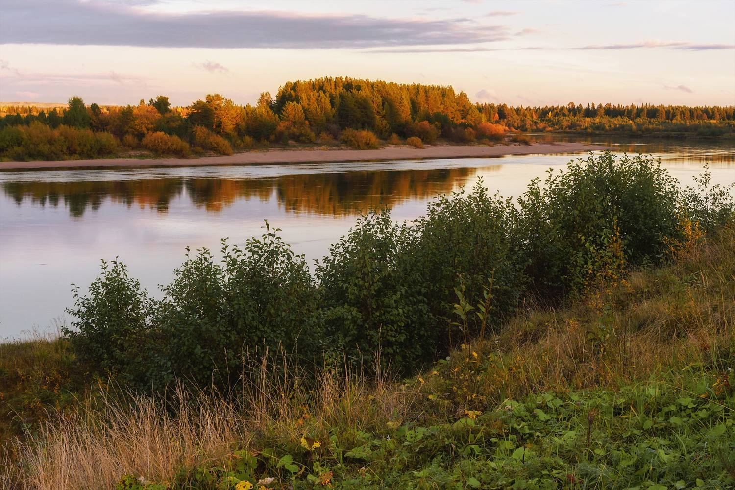 лес, деревья, кусты, трава, река, осень, вечер, отражения, Вера Ра