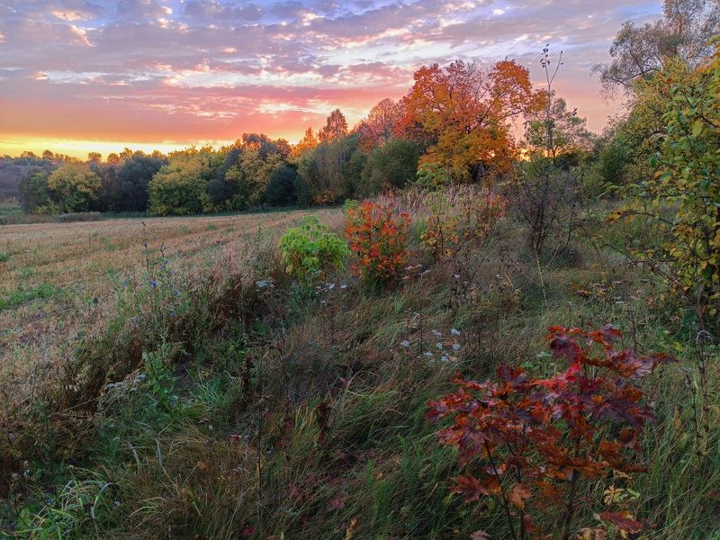 фото превью