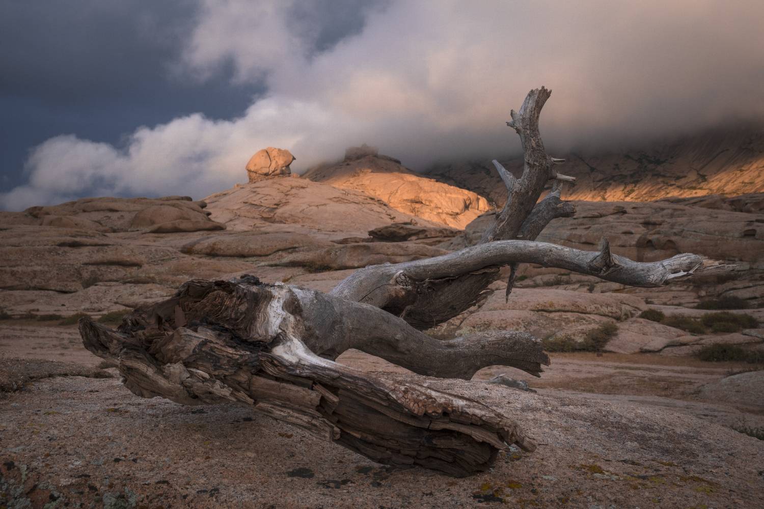 , Светлана Краюшкина