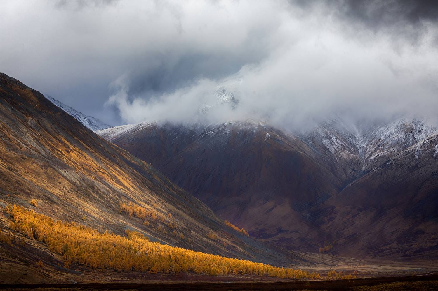 , Андрей Ершов
