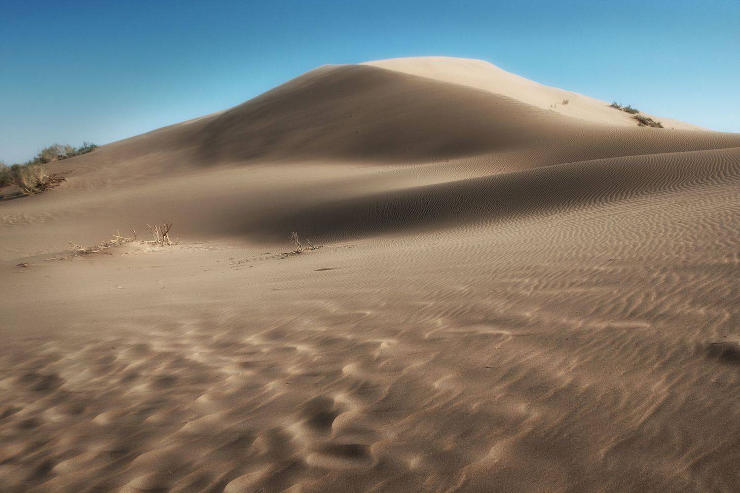 юго-восточный казахстан, бархан, поющий, весна, Кетова Вера