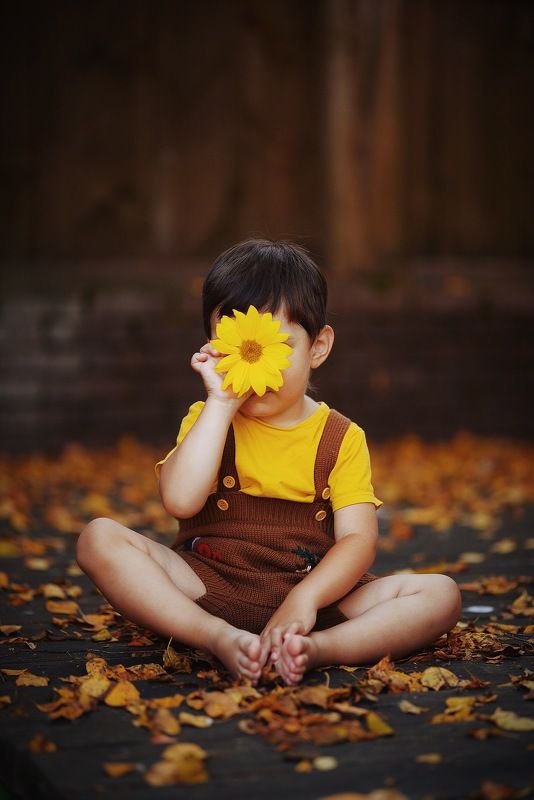 цветок, осень, сентябрь  фото превью