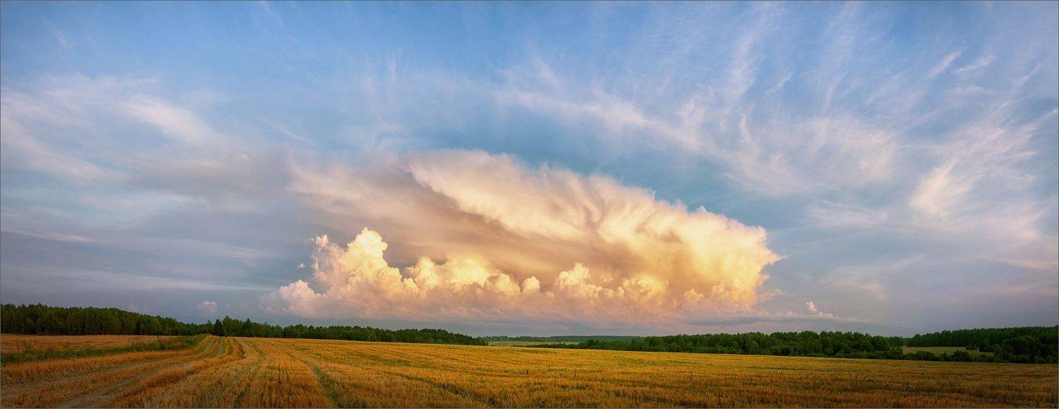 пейзаж, осень, поле, небо, свет, цвет, вечер, александр никитинский, Никитинский Александр