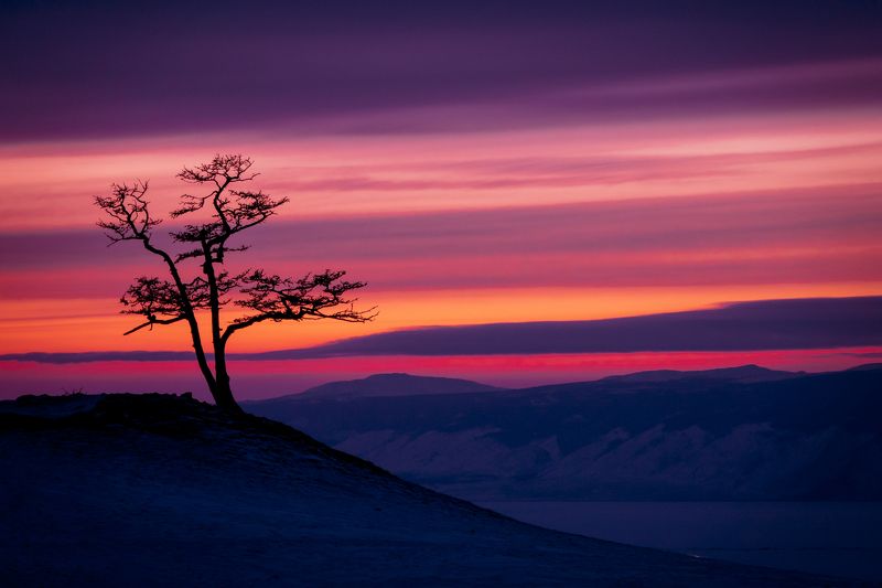 Portfolio фото превью