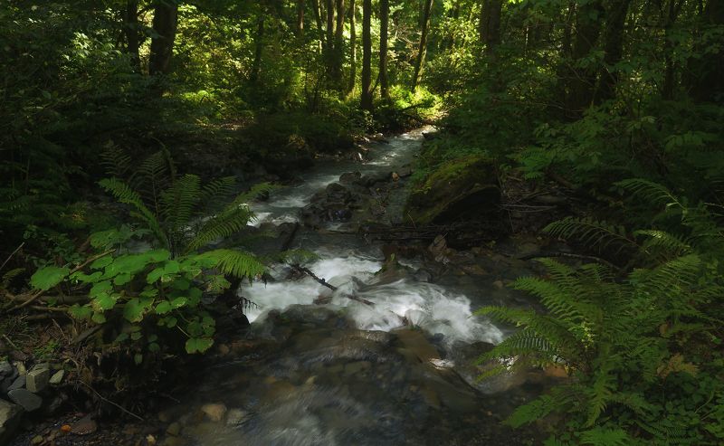У реки. фото превью