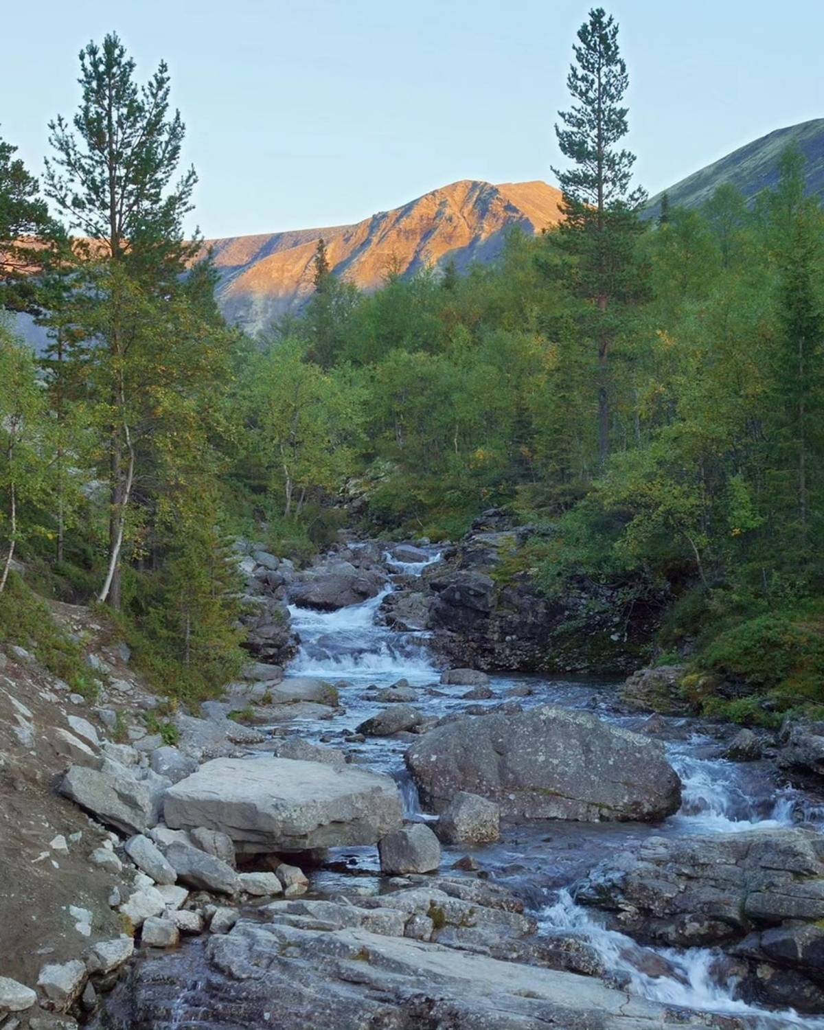 , Петр Косых