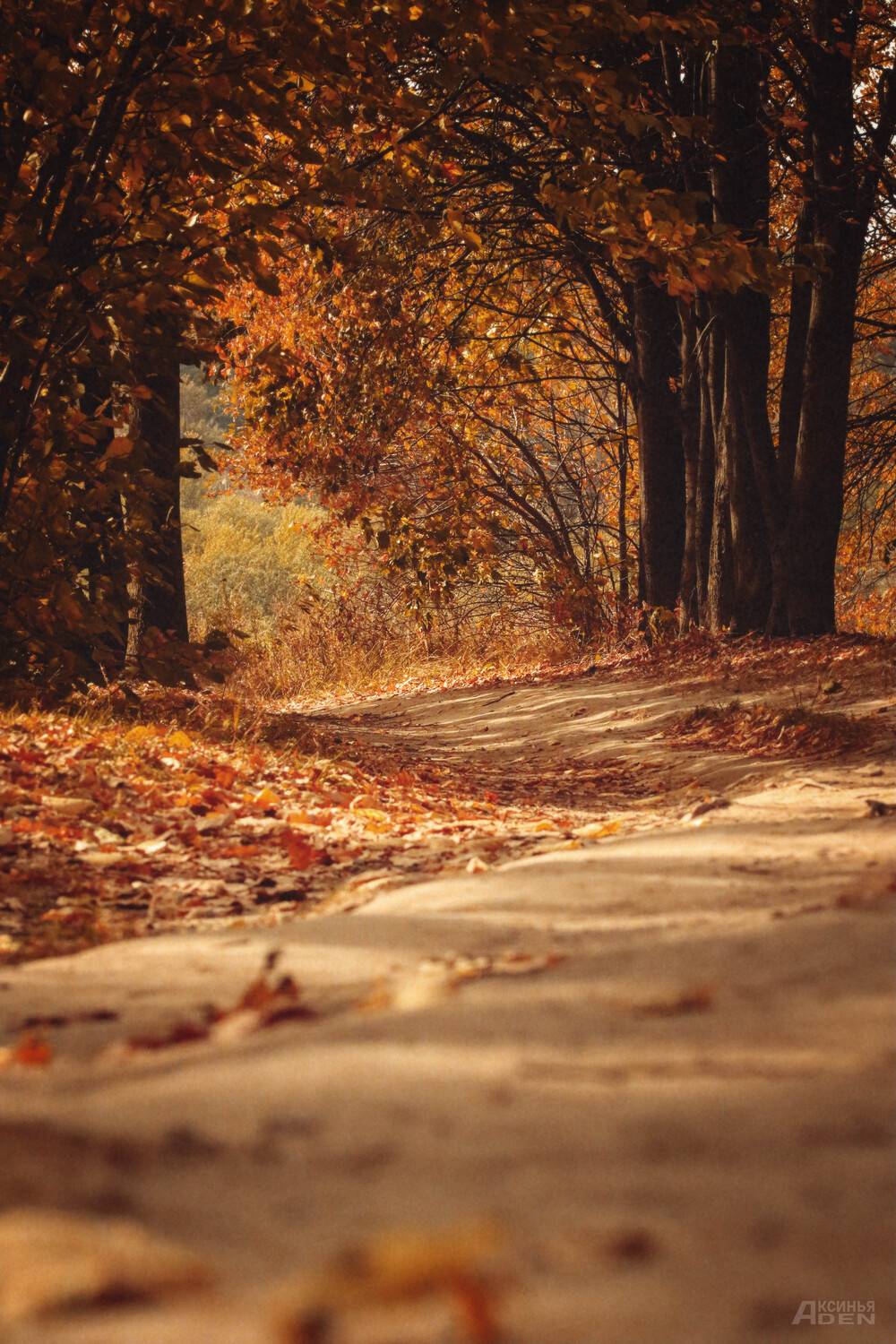 , Лысенкова Аксинья