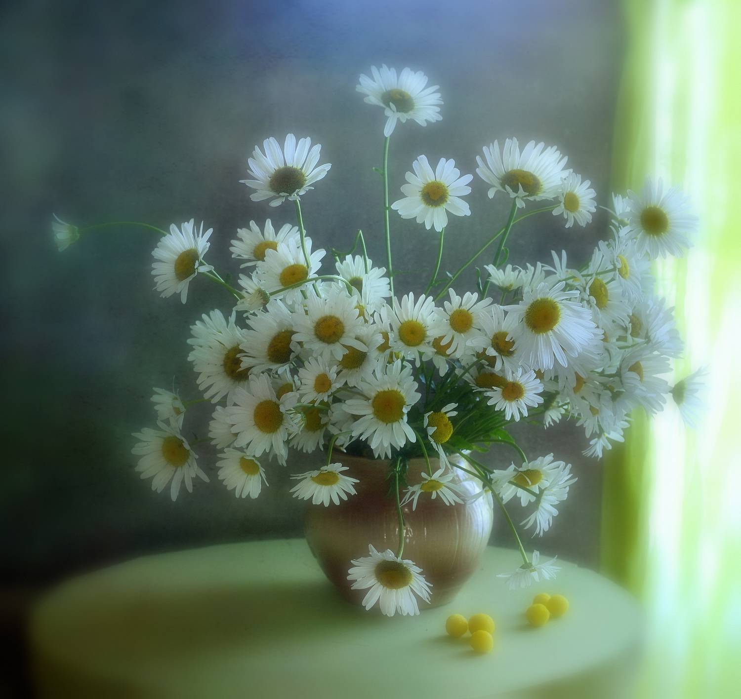 натюрморт,композиция,свет,лето,букет, Инаида