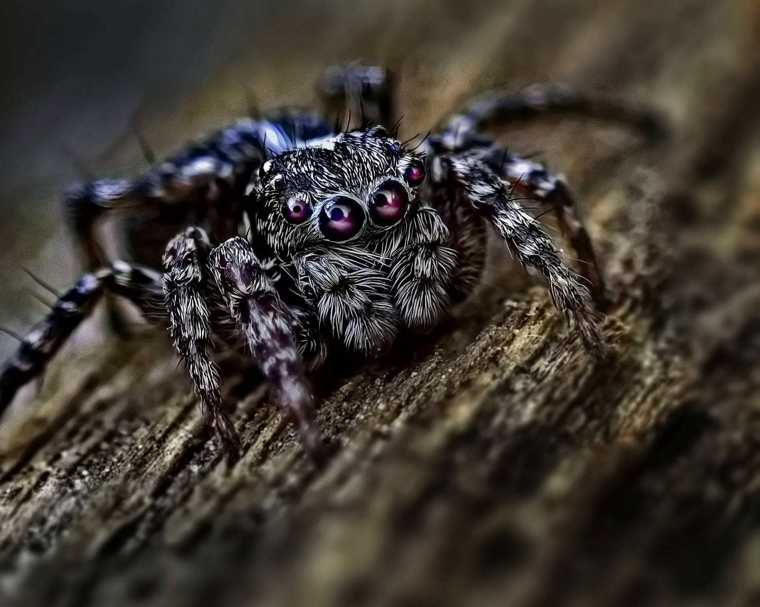 MI Note 10 pro, Дмитрий Кузнецов