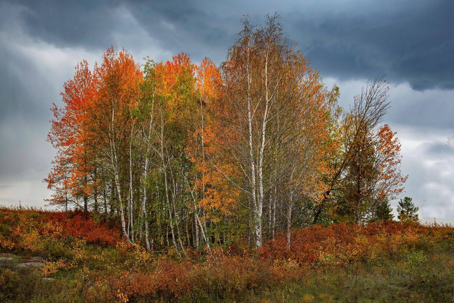 осень, Евгений Дроботенко