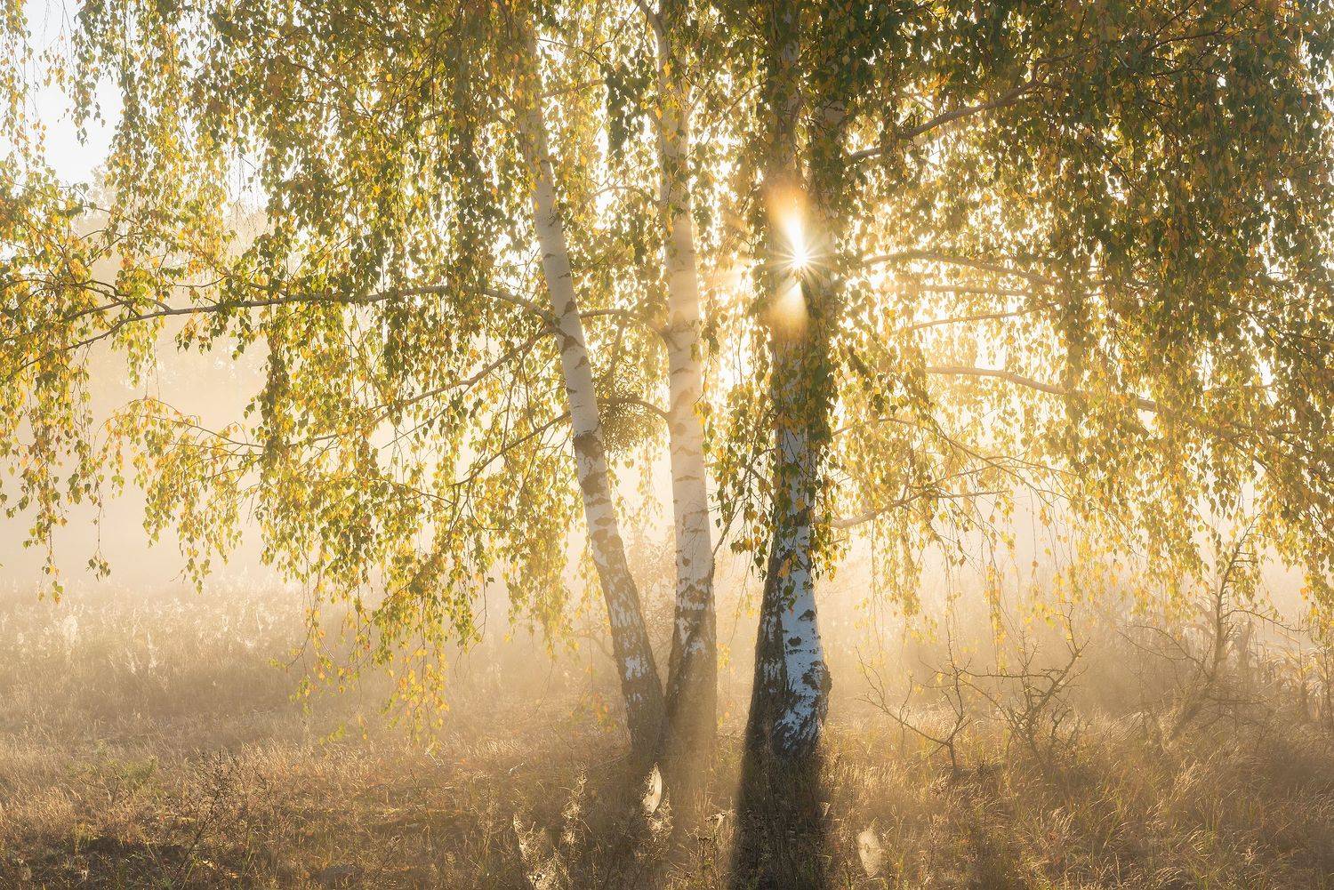 , Захаров Дмитрий